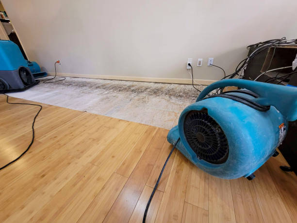 Professional Burst Pipe Water Damage technician working in Russellville, AL